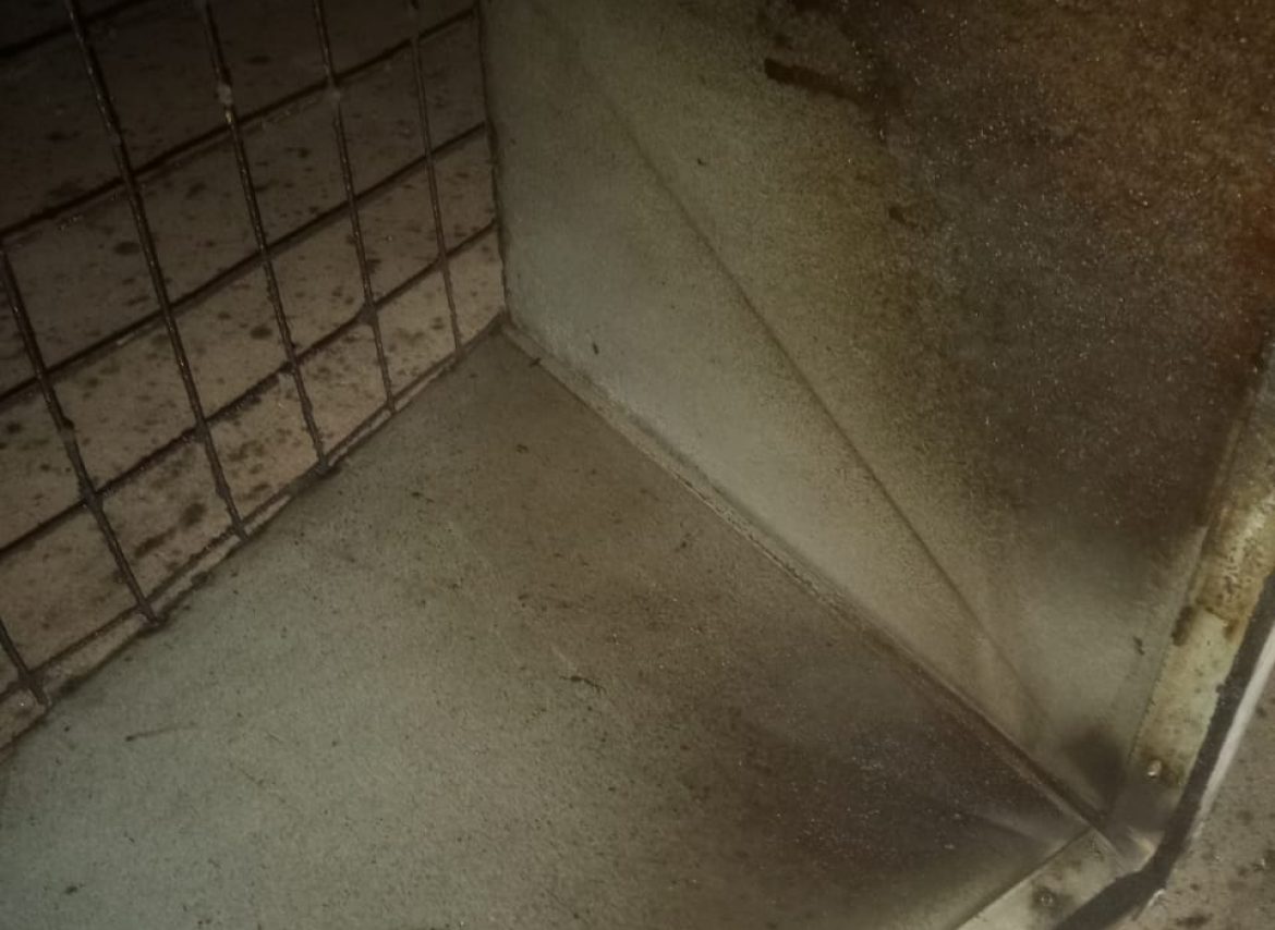 WhatsApp Image 2025-09-30 at 16.01.06